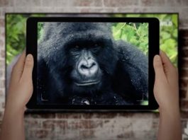 Tourism Sector offers Discount to Ugandans During Festive Season Uganda Tourism