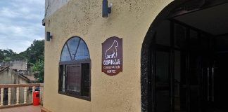 Gorilla Conservation Café opens in Entebbe Gorilla Conservation Cafe