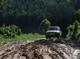 Driving in Uganda: Important Things to Know Driving in Uganda