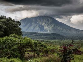 DR Congo’s Virunga National Park Reopens Virunga Mountains Congo