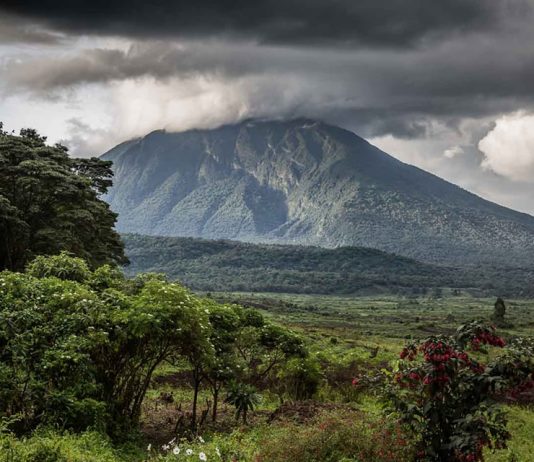DR Congo’s Virunga National Park Reopens Virunga Mountains Congo