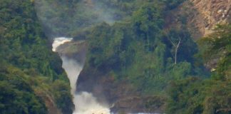 Conservationists Launch Save Murchison Falls Campaign Murchison Falls