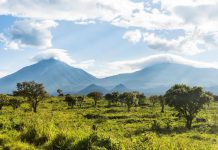 5 Must See Attractions in the Virunga Mountains The Virunga Mountains