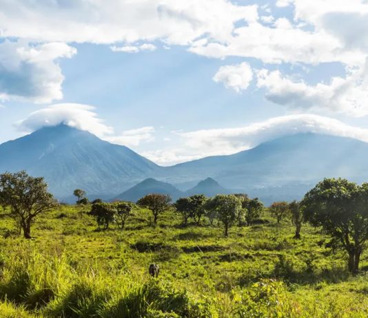5 Must See Attractions in the Virunga Mountains The Virunga Mountains