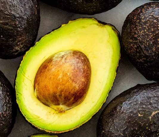 An Avocado: Nutritional and Medicine Values Avocado Benefits