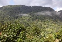 Explore Bwindi Impenetrable Forest Bwindi Impenetrable Forest