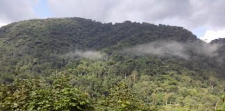 Explore Bwindi Impenetrable Forest Bwindi Impenetrable Forest