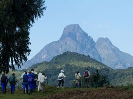 Uganda: The Best Gateway to Virunga Volcanoes Virunga Volcanoes