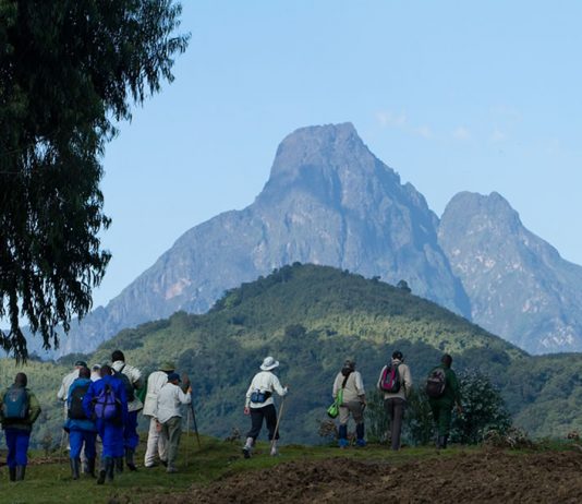 Uganda: The Best Gateway to Virunga Volcanoes Virunga Volcanoes