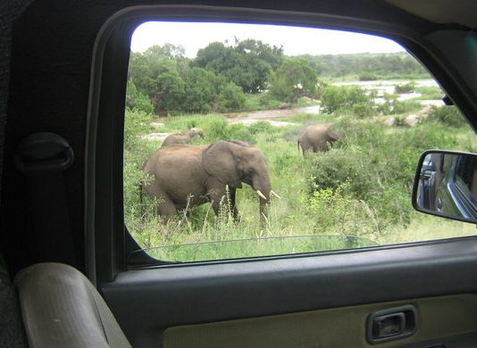 Things to Avoid on a Self Guided Uganda Trip Self Drive Safari in Uganda