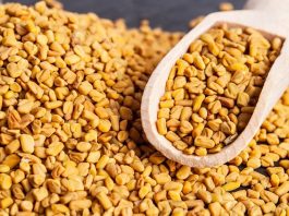 FENUGREEK Seeds: Medicinal Values Fenugreek Seeds