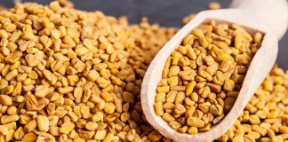 FENUGREEK Seeds: Medicinal Values Fenugreek Seeds