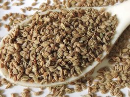 CAROM Seeds: Health Benefits Carom Seeds