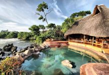 Planning a Honeymoon Safari in Uganda Honeymoon Safari in Uganda