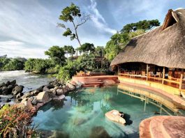 Planning a Honeymoon Safari in Uganda Honeymoon Safari in Uganda