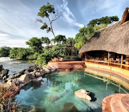 Planning a Honeymoon Safari in Uganda Honeymoon Safari in Uganda