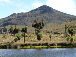 Best 5 Places for Day Hikes in Uganda Mount Elgon of Uganda
