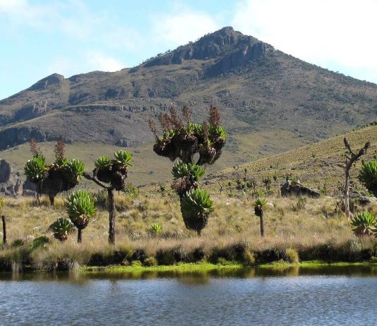 Best 5 Places for Day Hikes in Uganda Mount Elgon of Uganda