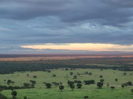 Do You know the 10 Uganda National Parks? Uganda National Parks