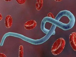 What is Ebola Virus? Ebola Virus