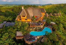 How to Choose the Best Uganda Safaris Luxury Uganda Safari