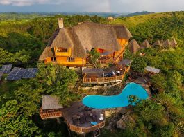 How to Choose the Best Uganda Safaris Luxury Uganda Safari