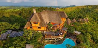 How to Choose the Best Uganda Safaris Luxury Uganda Safari