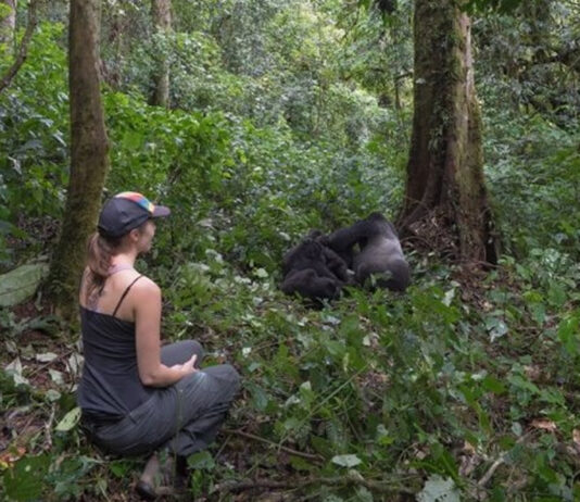 Gorilla Trekking Safaris in Bwindi Forest Gorilla Trekking